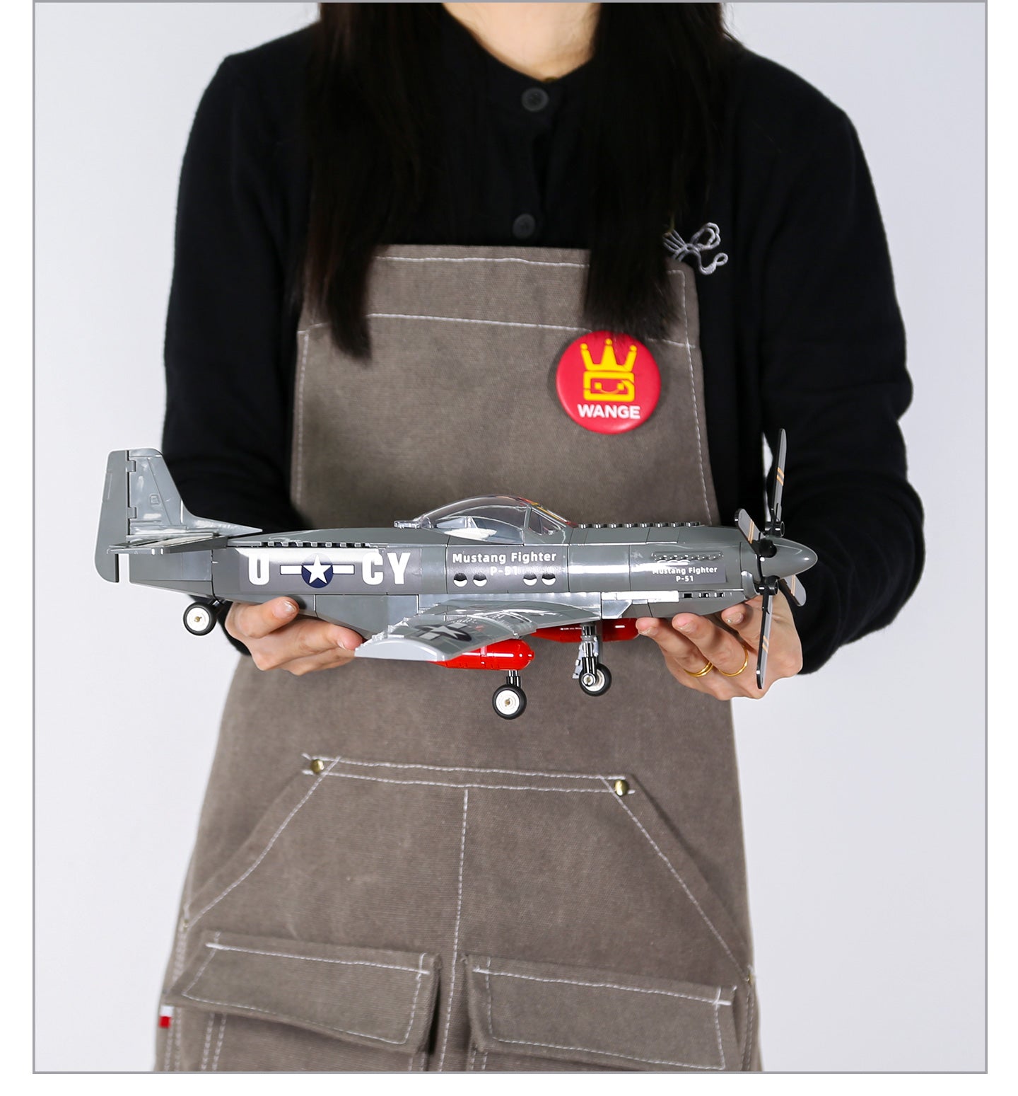 P-51 Mustang Fighter