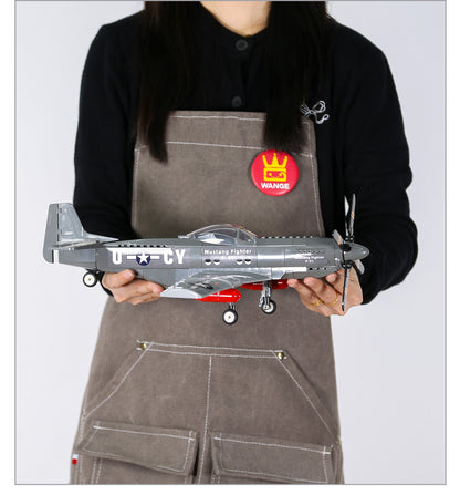 P-51 Mustang Fighter